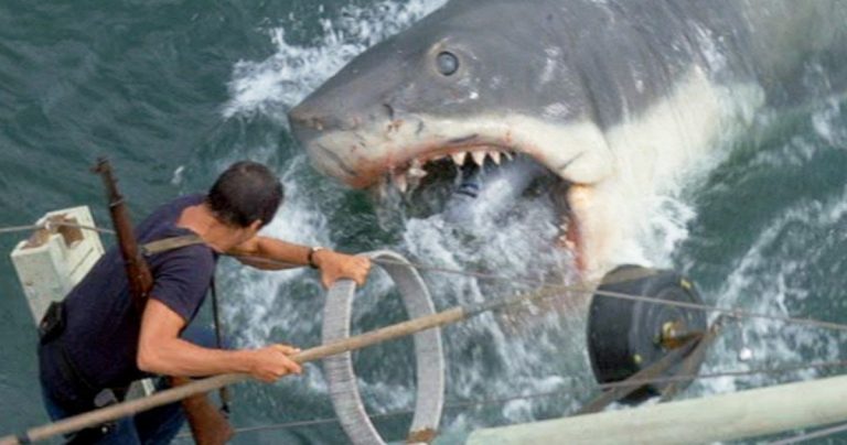 Richard Dreyfuss veut vraiment une réédition de Jaws avec un requin CGI