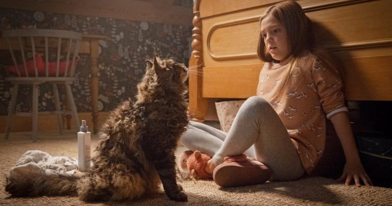 Regardez Pet Remix Semake, une fin alternative qui révèle un nouveau destin pour les credo