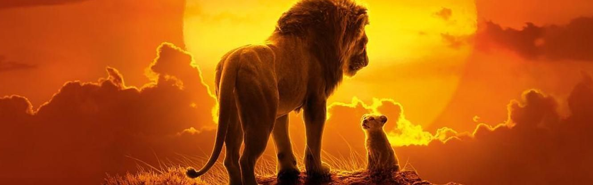 Le Roi Lion Film Vf Le Roi Lion | Film VF
